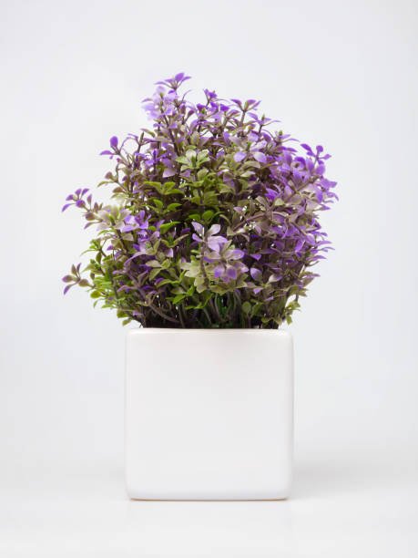 Ornamental Purple Plant - Artificial